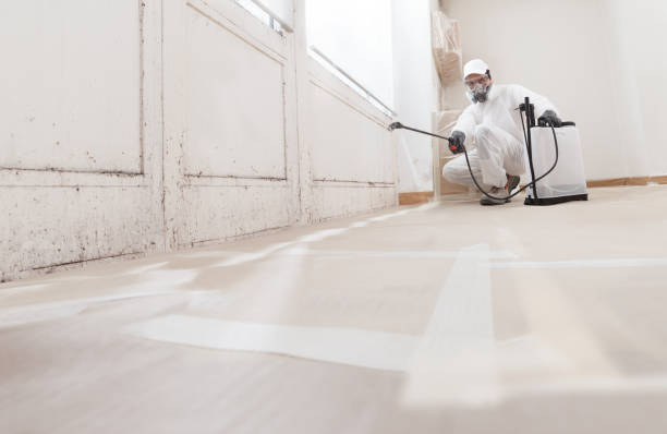 24/7 Emergency Mold Remediation experts in Manville, NJ